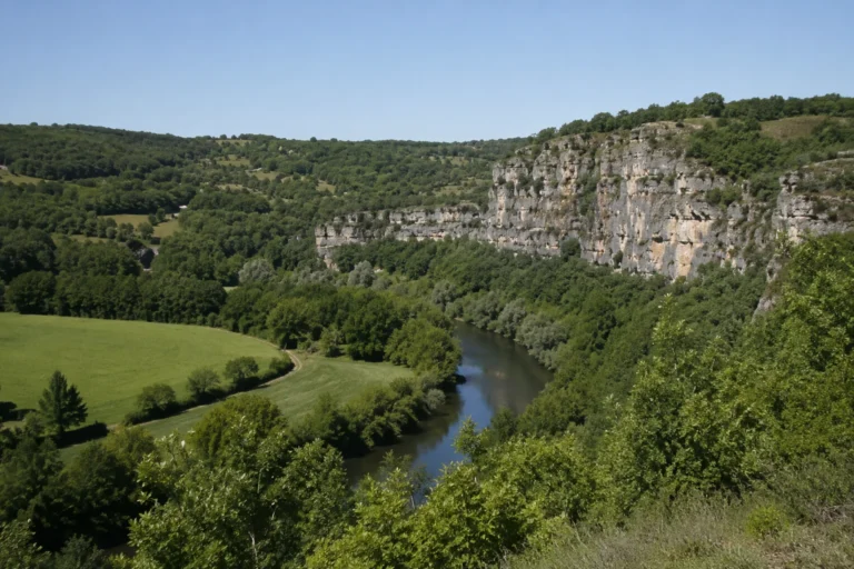 Image représentative du lot