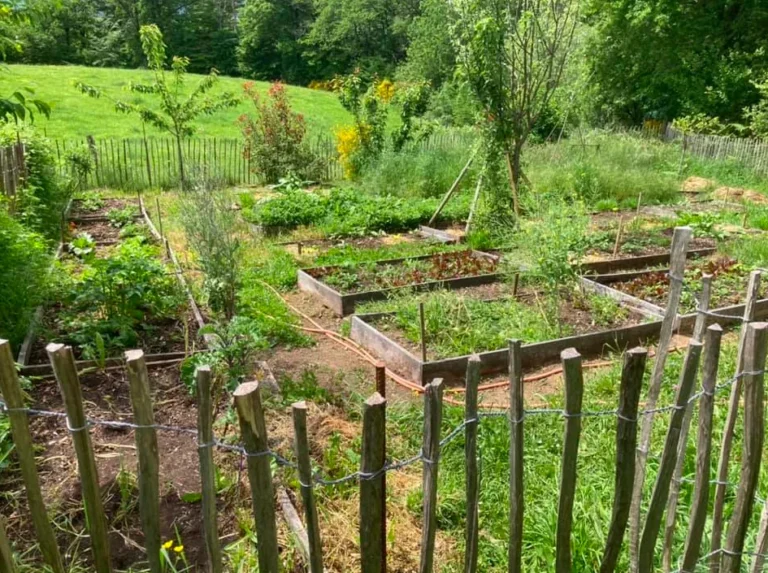 Potager bio nourricier lot