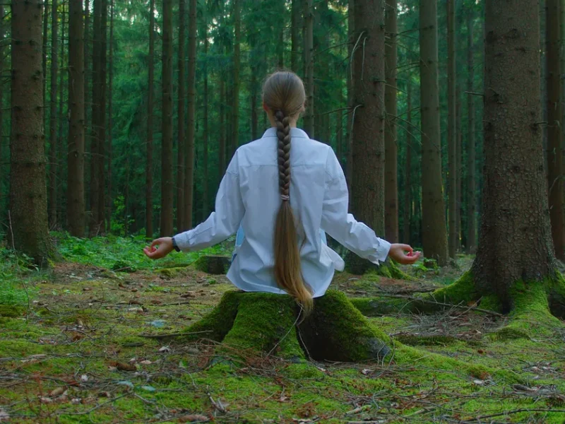 Méditation profonde en forêt, vue de dos — stage Souffle & Silence dans le Lot